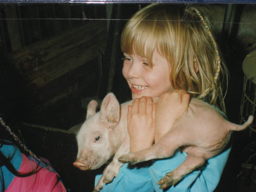 Schülerblog: Das Glücksschwein – Selma Saks